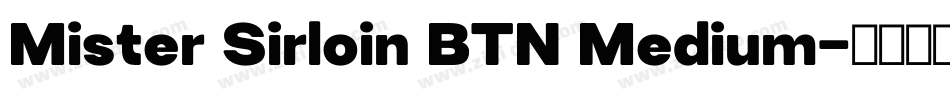 Mister Sirloin BTN Medium字体转换